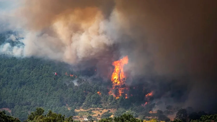 premiera mondiala franta foloseste un avion militar la stingerea incendiilor de vegetatie 6a65659576b41