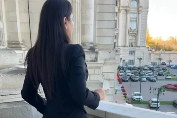 revenire neasteptata dupa 12 ani cu ce se ocupa acum elena basescu si in ce proiect politic important este implicata a contribuit la modificarea unei legi promulgata chiar de tatal ei 6a6b0b853829c