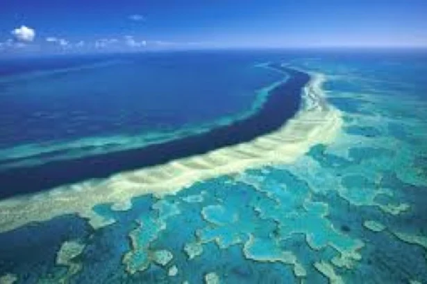 revenirea el nino marea bariera de corali este expusa riscului de albire extrema 6a5f459ed78da