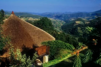 romania vrea sa importe unul dintre motoarele economice ale spaniei celebrul camino de santiago ar putea fi replicat in tara noastra 6a69925ae7312