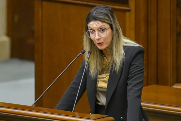 rusinoasa ziua de azi pentru parlament diana buzoianu avertizeaza ca romania poate pierde 1 miliard de euro 6a6b4f853f329