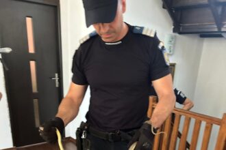 sarpe gasit in baia unei locuinte din piatra olt jandarmii au intervenit si l au capturat 6a46399448af2