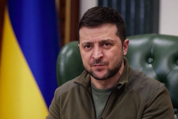 scandal in ucraina un comandant si cativa militari implicati in rapirea si asasinarea a doi frati zelenski s a implicat in caz 6a54c6f58aa54