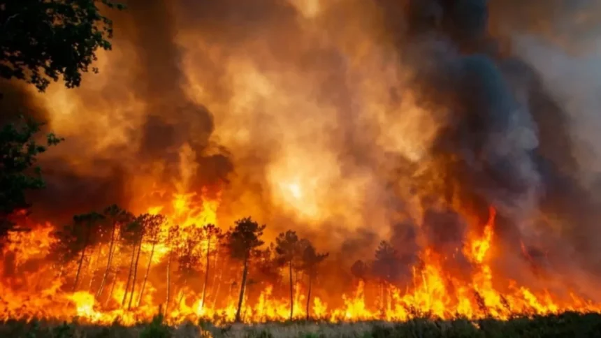 scene apocaliptice langa madrid o suprafata de 7 ori cat parisul a fost facuta scrum urmeaza ore decisive in vederea controlarii incendiilor din spania 6a680897e719e
