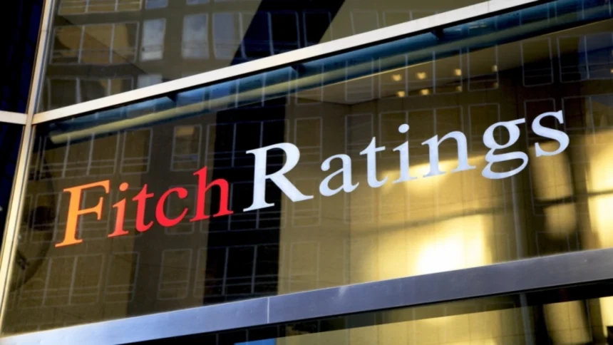 surse fitch ratings ar fi luat decizia pentru romania mentine actualul rating de tara dar vor fi mai multe observatii si o analiza la sange 6a6c4ce2ae3be