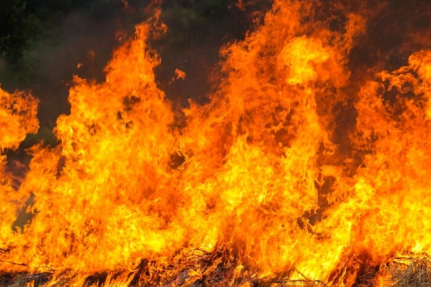 un incendiu de amploare a izbucnit in apropierea orasului shiraz in sudul iranului 6a5fd94e550f9