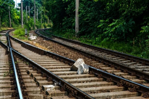 un obstacol a afectat circulatia trenurilor la constanta 6a562d64a7302