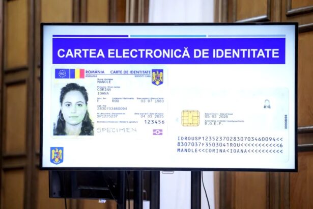 val de critici cine blocheaza cartile electronice de identitate pentru romanii din strainatate 6a5768b1d3f3f