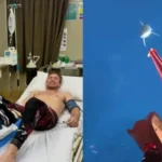 video momentul in care un rechin ataca violent o vedeta in mediul online a inceput sa se comporte diferit fata de ceilalti 6a68364a9e2c3