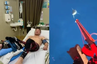video momentul in care un rechin ataca violent o vedeta in mediul online a inceput sa se comporte diferit fata de ceilalti 6a68364a9e2c3