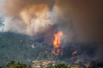 video sute de mii de francezi si spanioli evacuati din cauza incendiilor violente care au cuprins franta si spania 6a645de96ed02