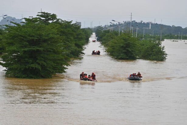 zebre pauni ratoni si serpi veninosi in libertate dupa inundatiile din sudul chinei unele animale au scapat de la gradina zoo 6a4f41af29a70