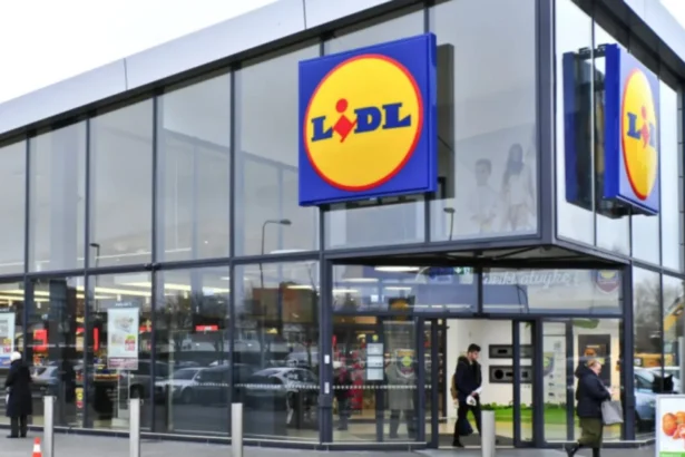 alerta alimentara la lidl produs contaminat cu o bacterie care poate declansa afectiuni gastrointestinale retras rapid de la comercializare 6a85ed4f3223f