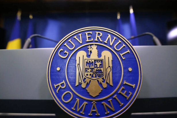 anunt de angajare de la guvern se cauta profesionisti pentru a conduce cele mai grele companii din transporturi 6a7760908d8fa
