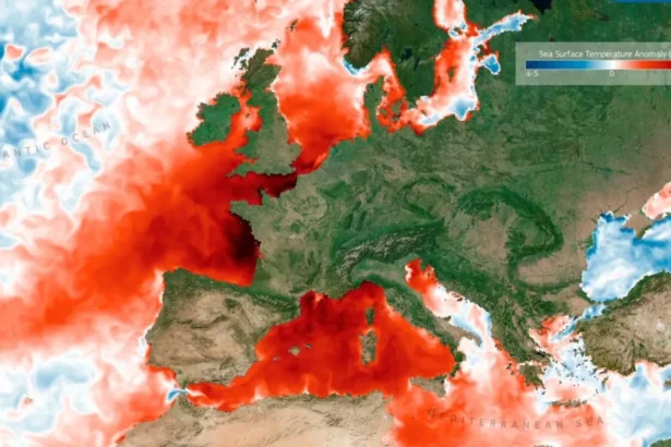 avertismentul sumbru al meteorologilor episodul el nino din 2026 risca sa devina cel mai puternic din ultimii 100 de ani 6a88f9b865341