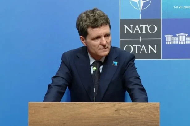 avocatul fratilor tate nu ar accepta o functie publica in romania nicusor dan asistat social finalmente ia bani de la statul roman 6a7a1d57aa905