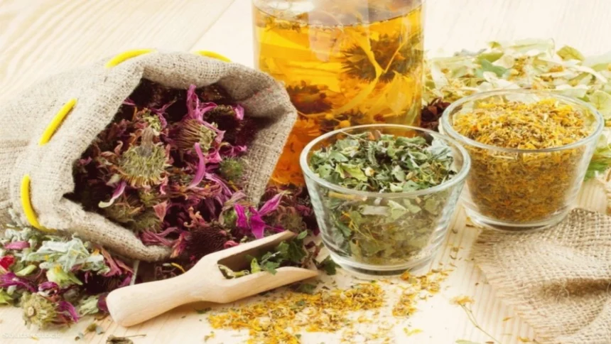 bani europeni pentru culturi de nisa pana la 100 000 de euro nerambursabili pentru floricultura si plante aromatice 6a71f54a4f009