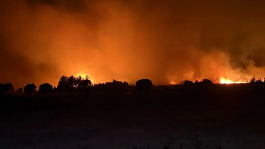 campaniile de informare ale isu giurgiu au redus semnificativ incendiile de vegetatie 6a847fa441652