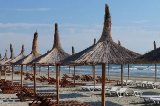 controale de amploare pe litoral tone de probleme descoperite amenzi de peste 368 000 de lei si unitati inchise 6a7c3b034f89b