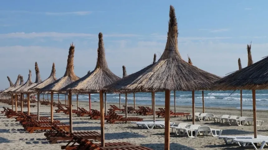 controale de amploare pe litoral tone de probleme descoperite amenzi de peste 368 000 de lei si unitati inchise 6a7c3b034f89b