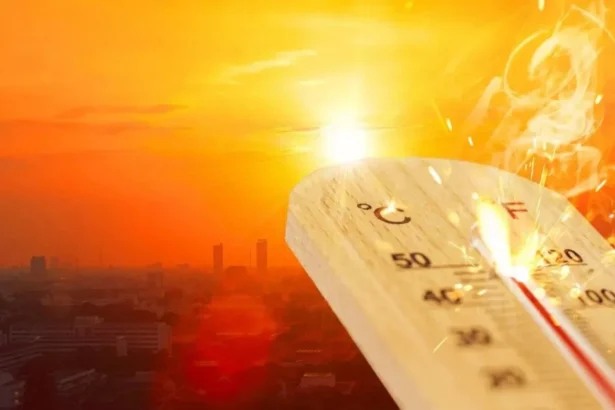 coreea de sud a inregistrat cea mai ridicata temperatura consemnata vreodata 6a700329d2efb
