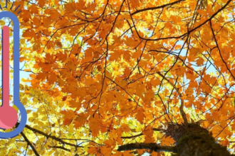 cum incepe toamna in romania anm anunta temperaturi peste normal in septembrie 6a8a1d8c9a272