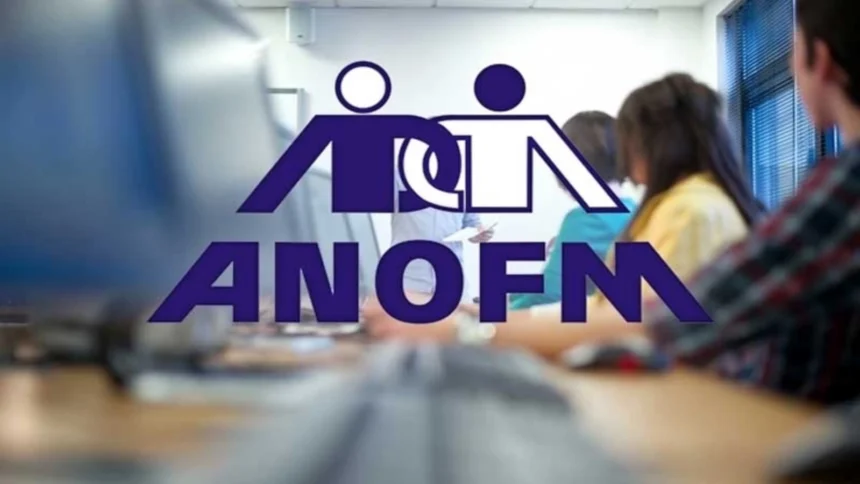 date anofm privind locurile de munca vacante 6a6fe63594125