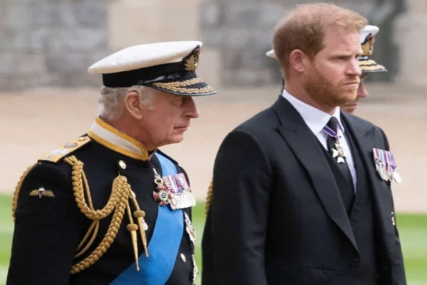 decizia momentului in familia regala britanica printul harry si meghan markle se vor intoarce sa locuiasca in regatul unit 6a864981e369c
