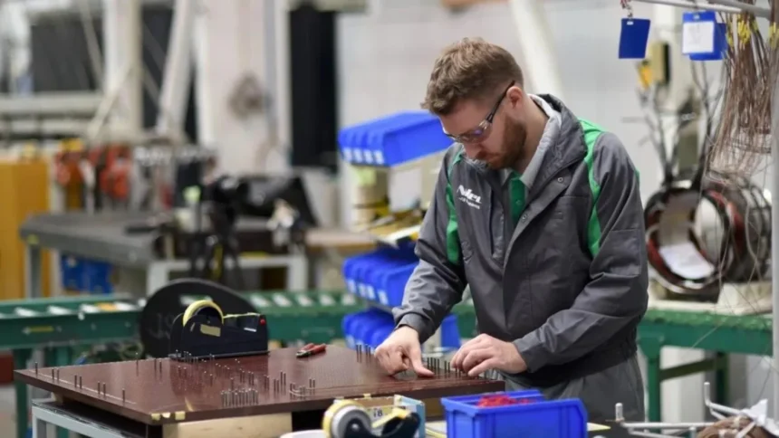 doi colosi industriali se orienteaza spre romania gigantii nidec si natuzzi isi muta o parte din productie la baia mare si oradea 6a78629f4a899
