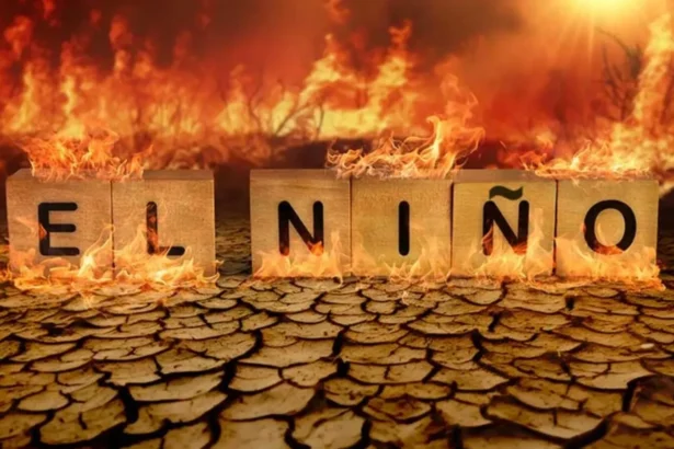 el nino a patruns deja in casa planeta trece printr un moment critic onu solicita oprirea imediata a noilor proiecte de petrol gaze si carbune 6a6d754155096
