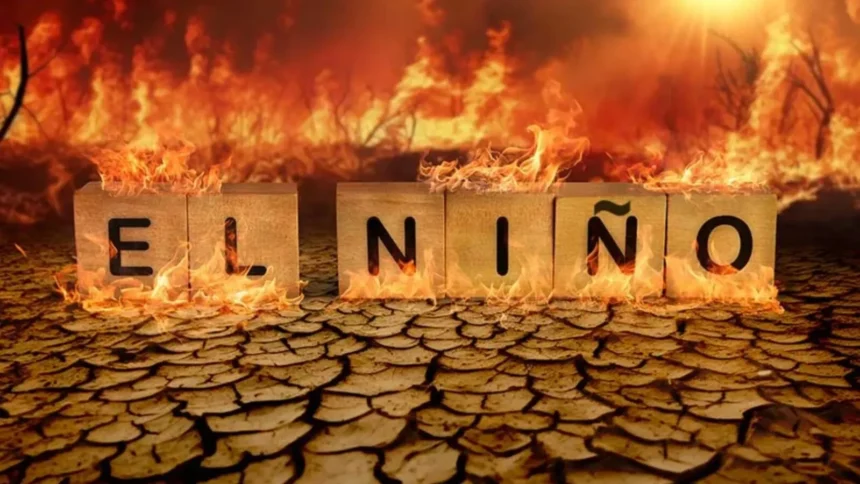 el nino a patruns deja in casa planeta trece printr un moment critic onu solicita oprirea imediata a noilor proiecte de petrol gaze si carbune 6a6d754155096