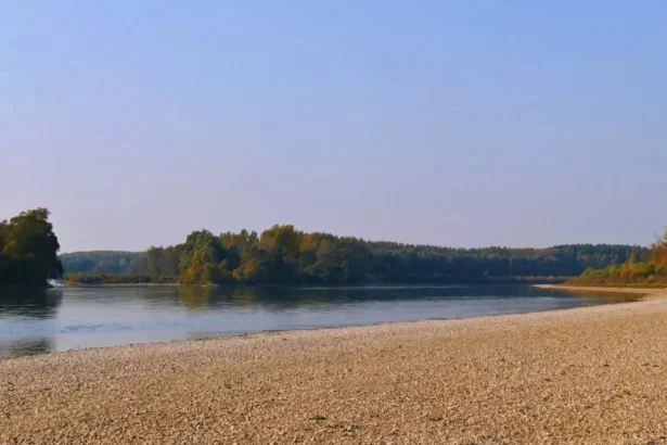 exclusiv asistam la noua normalitate climatica un expert german explica pentru stiripesurse ro de ce dunarea atinge niveluri ingrijoratoare interviu 6a83ebf7f21d4