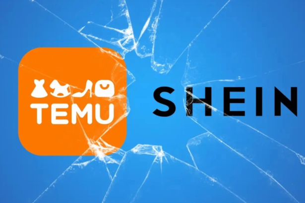 experimentul vietnam a esuat shein revine in china 6a7bf946adddc