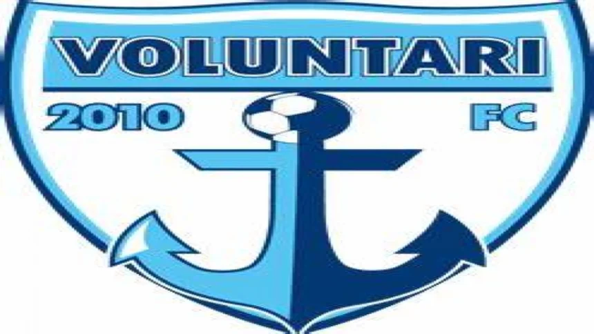 fc voluntari a invins o pe uta arad intr un meci din etapa a treia a superligii de fotbal 6a6e336cd4873