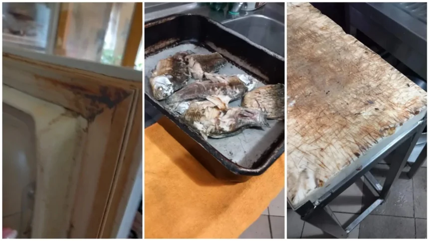 foto carne expirata muste in bucatarii si ustensile pline de par nereguli grave pe litoral in plin sezon estival cinci afaceri inchise de cjpc 6a7637601f40d