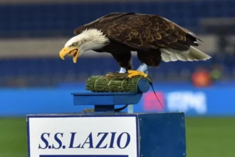 fundasul croat josip sutalo va juca pentru lazio 6a89fb88f07f4