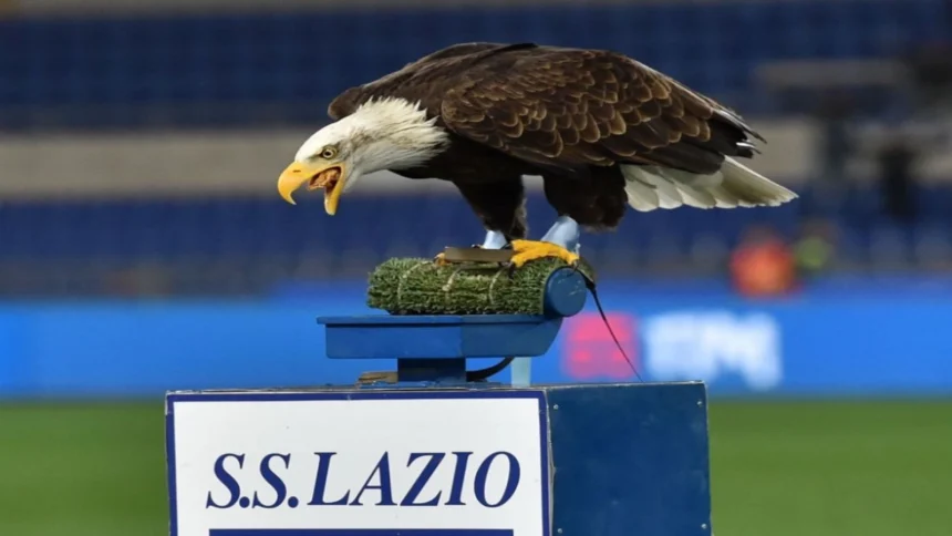 fundasul croat josip sutalo va juca pentru lazio 6a89fb88f07f4