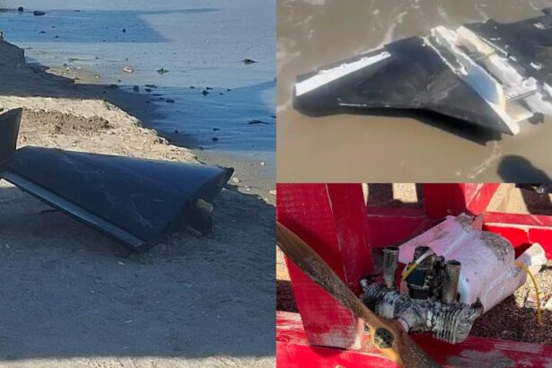 in ultimele 4 zile rusia a trimis peste 100 de drone langa frontiera cu romania anunta ministrul apararii radu miruta 6a80105f4cbef