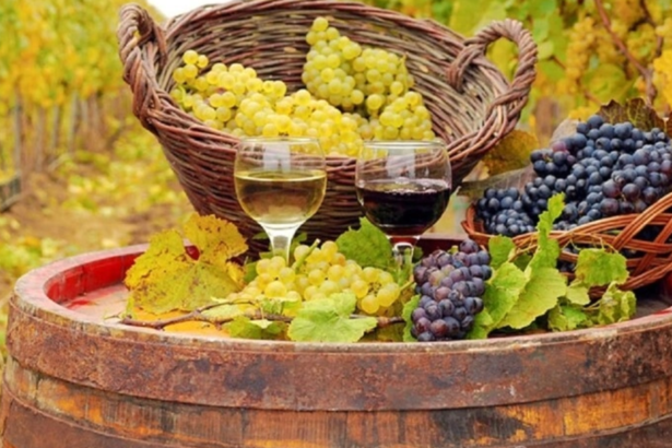 incendiile de padure ameninta vinul francez viticultorii se tem ca fumul ar putea schimba aroma recoltelor 6a74c3925a753