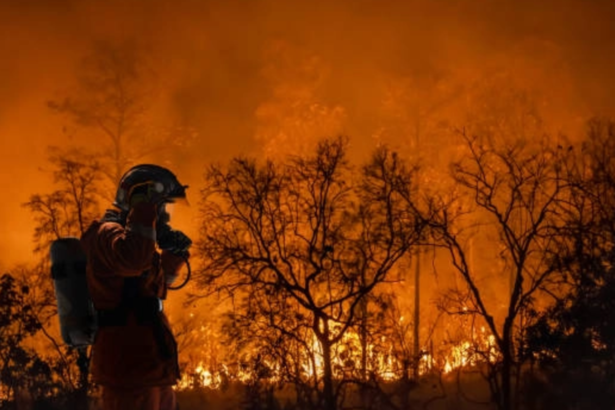 incendiu de vegetatie pe aproximativ 50 de hectare pe valea avrigului 6a75ed8ccef8c