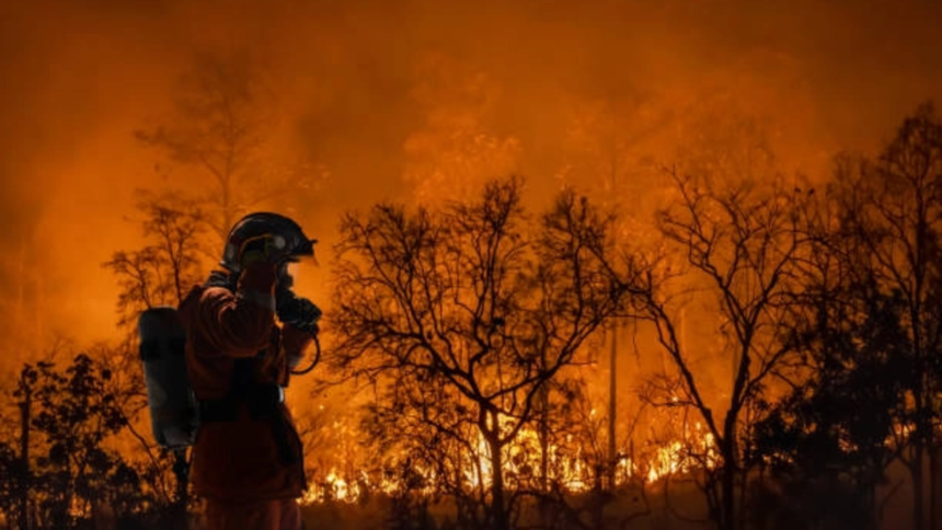 incendiu de vegetatie pe aproximativ 50 de hectare pe valea avrigului 6a75ed8ccef8c