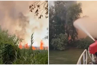 incendiul din delta dunarii continua sa arda 700 de hectare de vegetatie uscata au fost mistuite de flacari 6a84bef060cdc