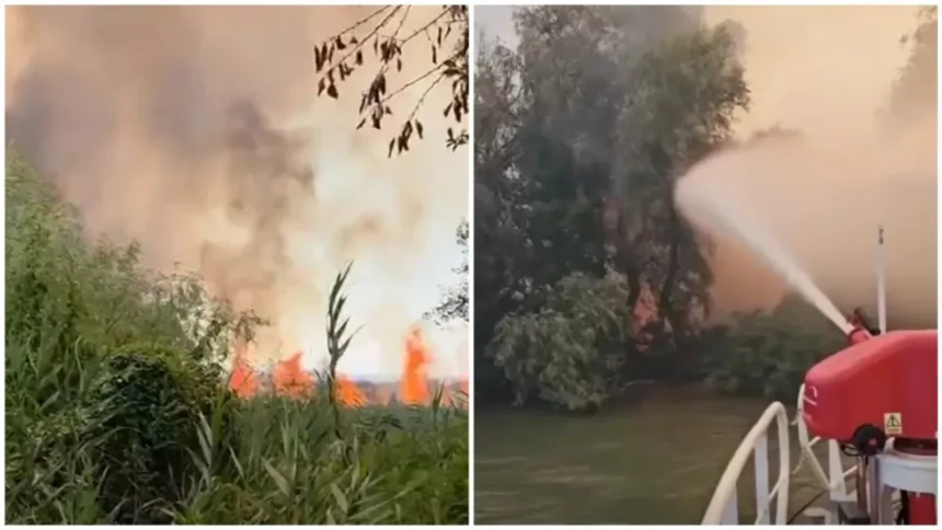 incendiul din delta dunarii continua sa arda 700 de hectare de vegetatie uscata au fost mistuite de flacari 6a84bef060cdc