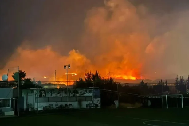 incendiul din halkidiki care a condus la evacuarea a aproape 500 de persoane adus sub control de pompieri 6a7ed4869bef2