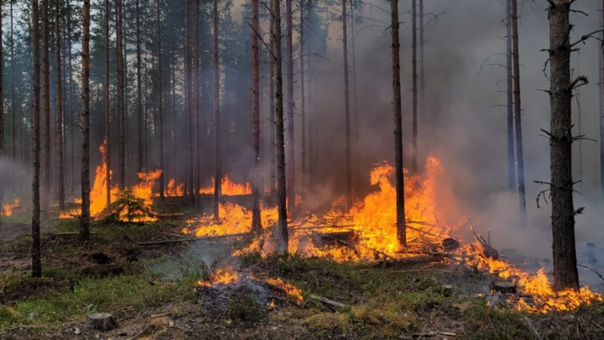 isu delta intervine in apropiere de satul plauru judetul tulcea pentru stingerea unui incendiu 6a8f4e6d0e476