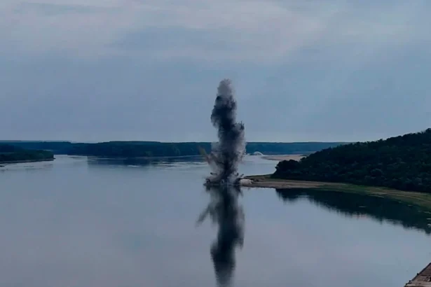 liderul senatorilor psd ridica o intrebare pentru cei de la usr ati vazut vreo reactie de la ong uri la explozia de pe dunare n au murit pestisori 6a78777eb2360