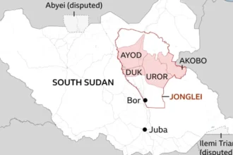 membri ai fortelor de mentinere a pacii ale onu au fost ucisi intr o ambuscada in sudanul de sud 6a8c8cb3558db
