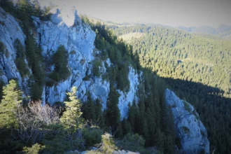 misterul disparitiei tanarului britanic in bucegi ar putea fi elucidat descoperire macraba facuta de ciobanii din zona 6a7f1751eff00