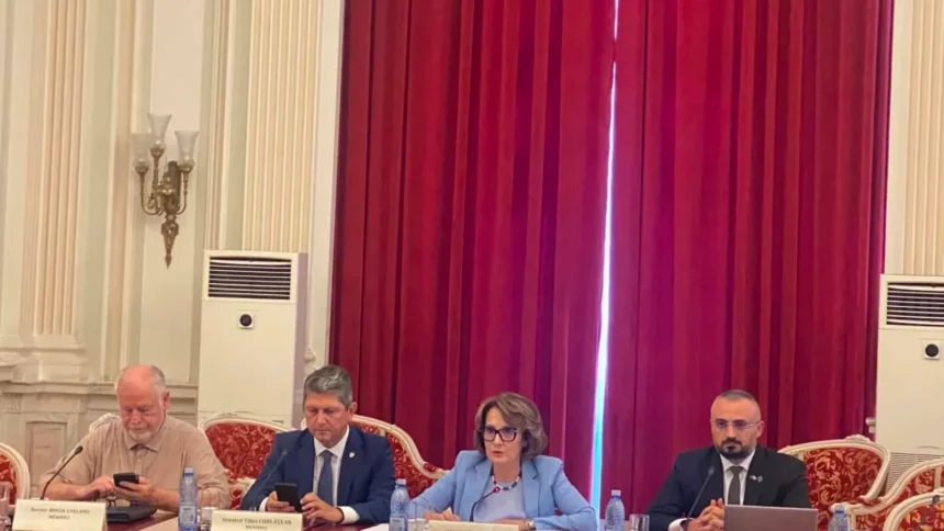 moment aprins intre loctiitorul sefului statului major si nicoleta pauliuc sefa comisiei de aparare va dati seama ca nu le am gandit eu azi noapte vs eu sunt draguta sa stiti 6a8d96fcc7839
