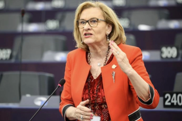 nicusor dan ar putea sa nu nominalizeze niciodata un premier scenariul extrem lansat de maria grapini 6a78d78edb62b